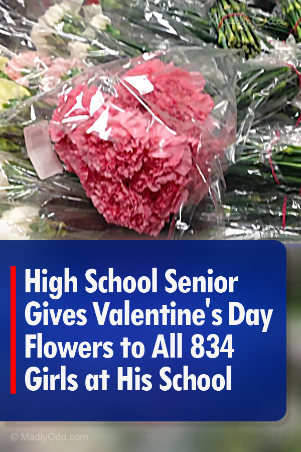 High School Senior Gives Valentine\'s Day Flowers to All 834 Girls at His School