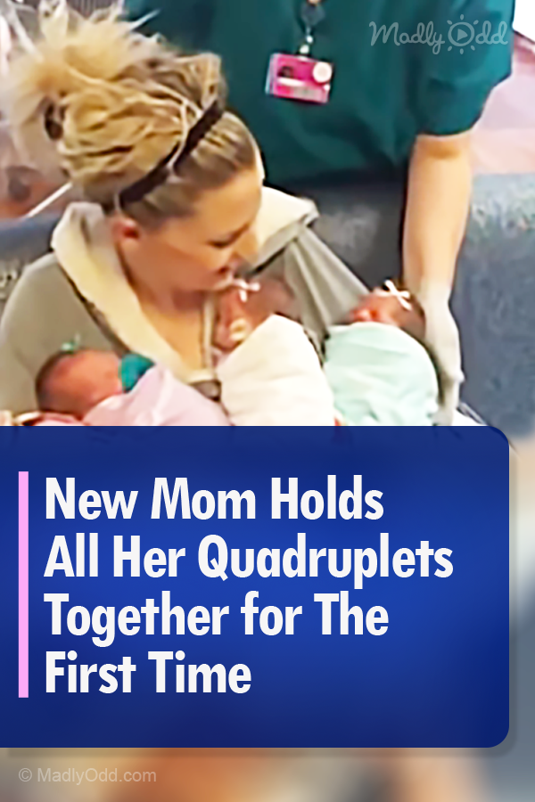 New Mom Holds All Her Quadruplets Together for The First Time