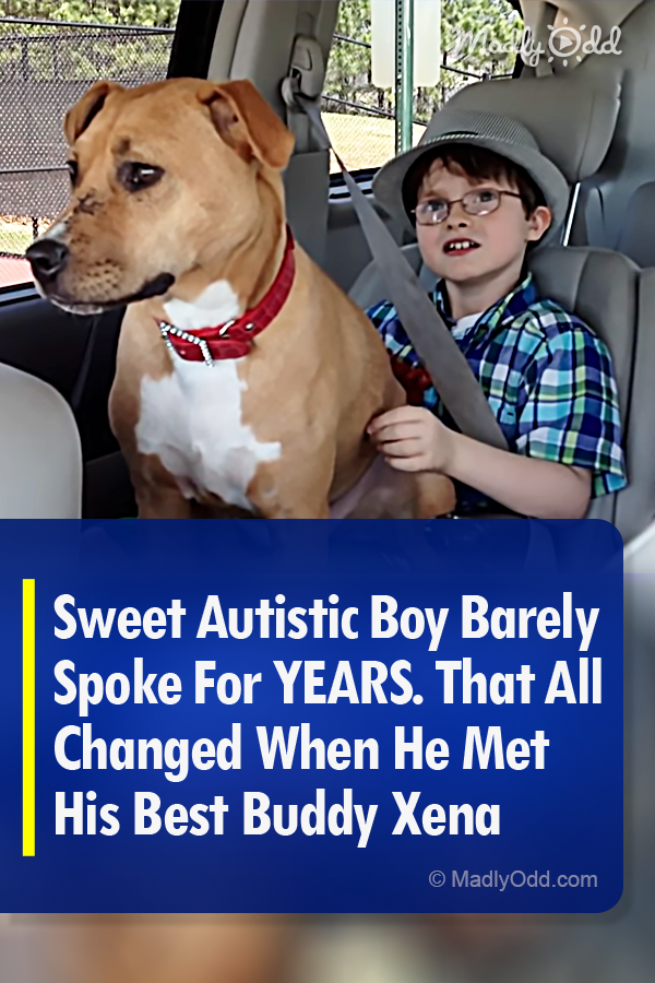 Sweet Autistic Boy Barely Spoke For YEARS. That All Changed When He Met His Best Buddy Xena