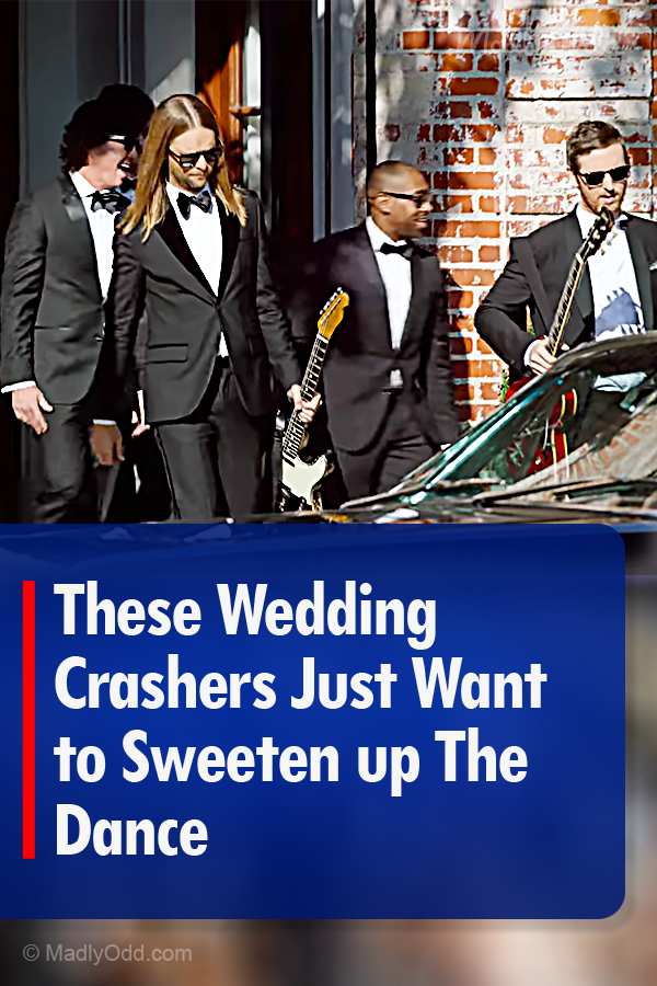 These Wedding Crashers Just Want to Sweeten up The Dance