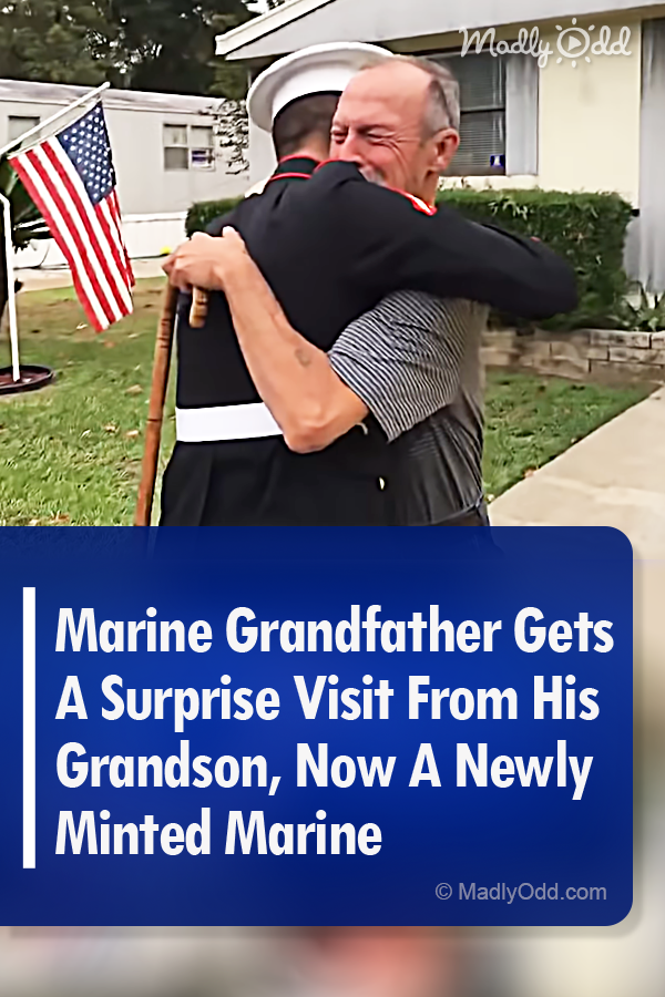 Marine Grandfather Gets A Surprise Visit From His Grandson, Now A Newly Minted Marine