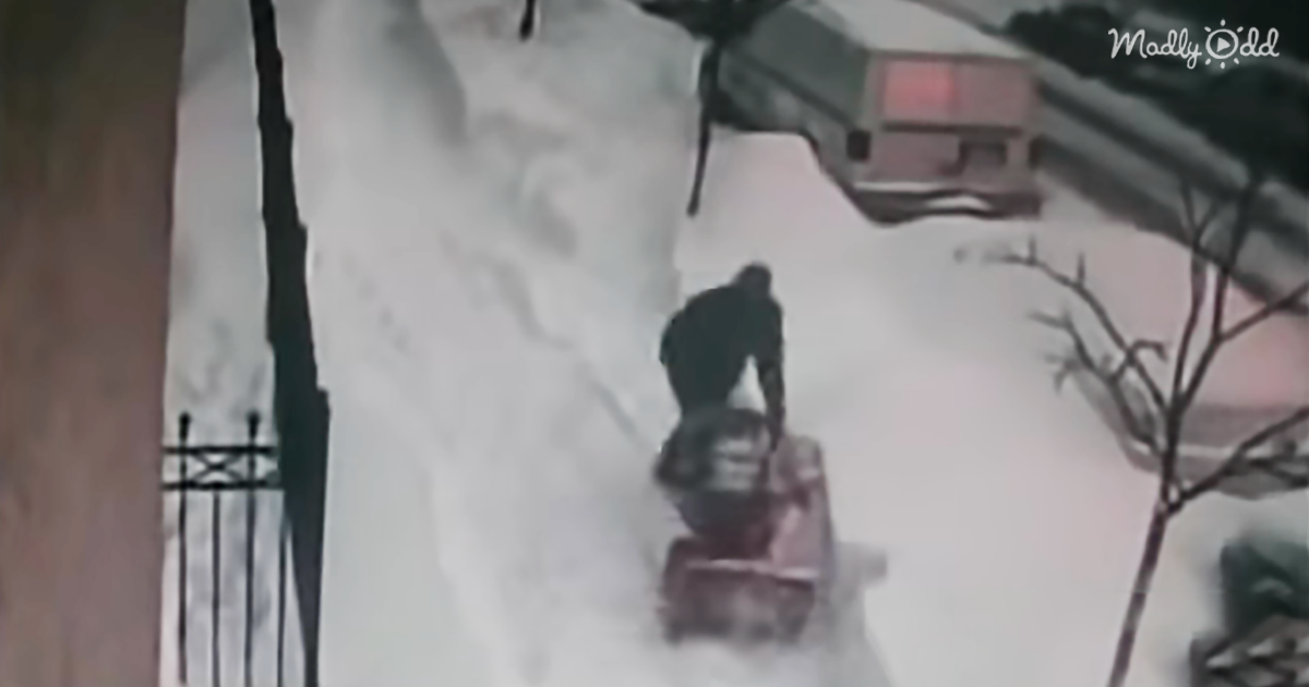 56518-OG2-Woman-Steals-His-Snow-Shovel-But-is-Caught-on-Camera-He-Proceeds-to-Get-Epic-Revenge
