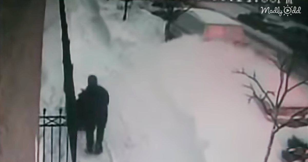 56518-OG3-Woman-Steals-His-Snow-Shovel-But-is-Caught-on-Camera-He-Proceeds-to-Get-Epic-Revenge