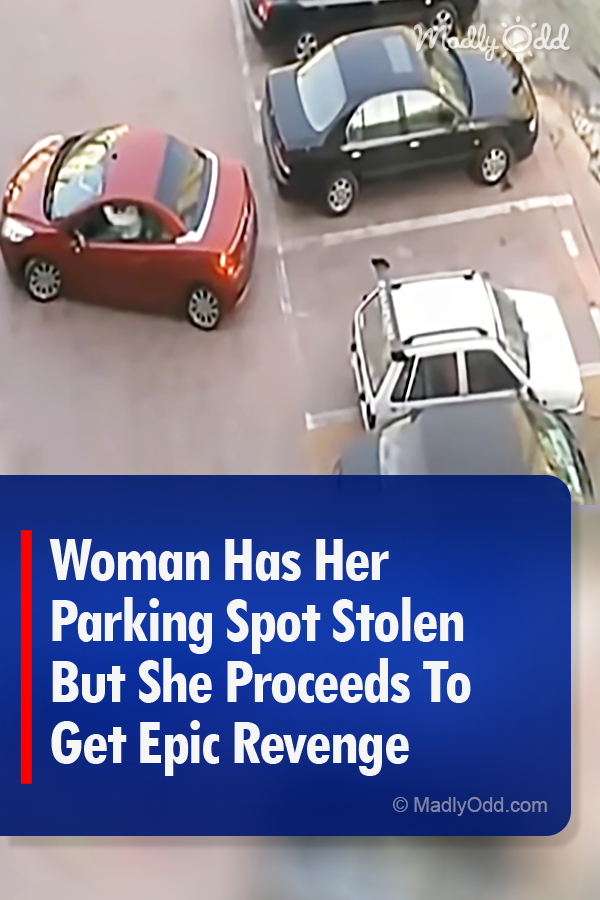 Woman Has Her Parking Spot Stolen But She Proceeds To Get Epic Revenge
