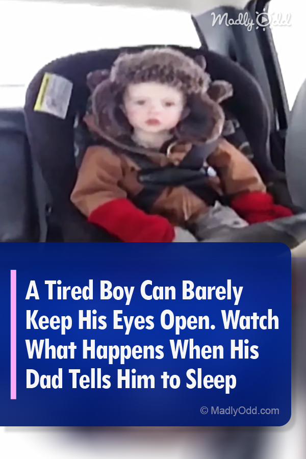 A Tired Boy Can Barely Keep His Eyes Open. Watch What Happens When His Dad Tells Him to Sleep