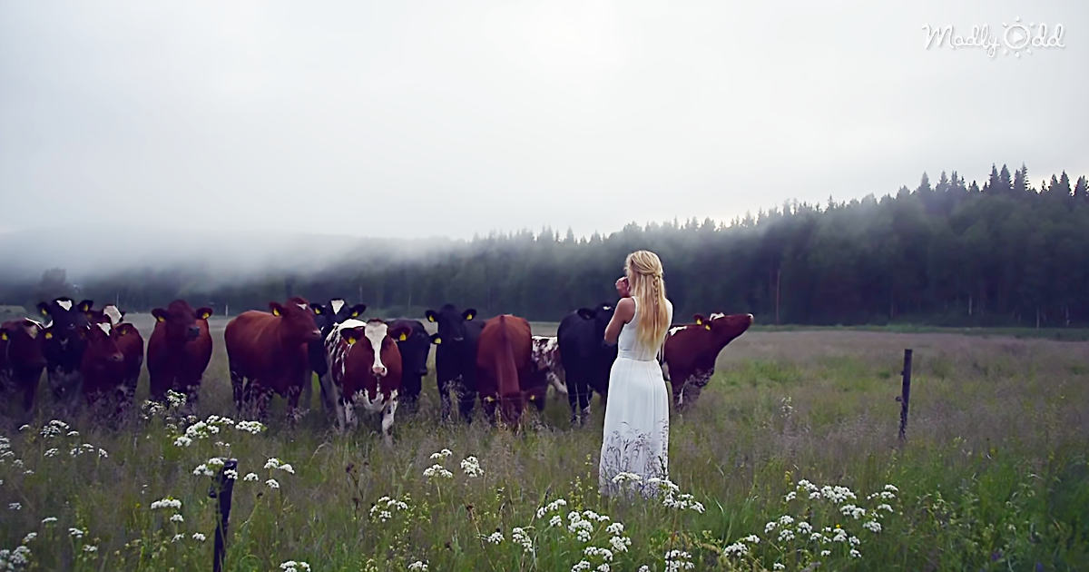 65064-OG2-She-Sings-an-Ancient-Viking-Song-to-A-Herd-of-Cows