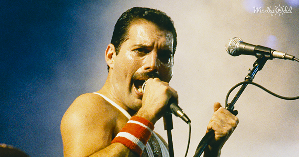 We Find Lots To “Love” In This Vocals-Only Freddie Mercury Track From 1976