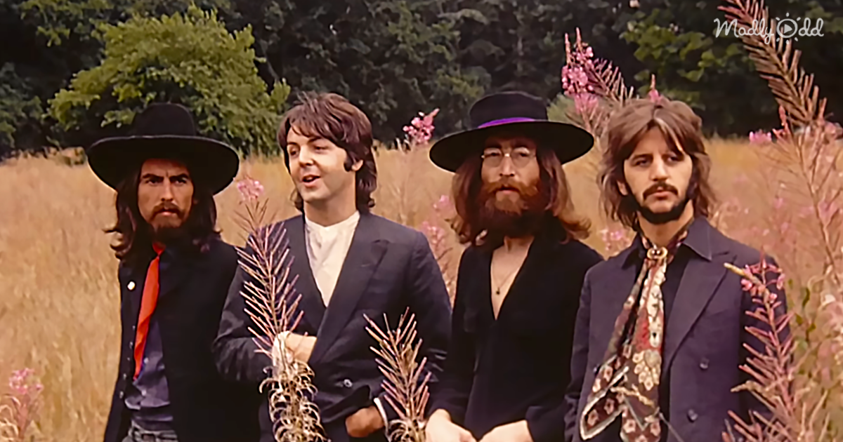 og2 Let This New Beatles Music Video For “Here Comes The Sun” Light Up Your Day