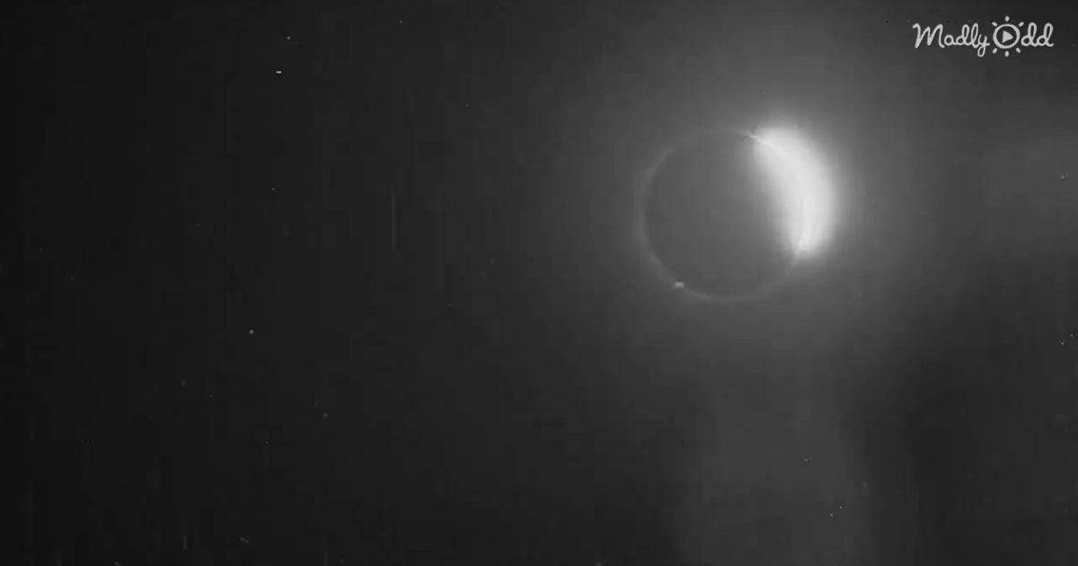 og2 Watch The Oldest Footage of a Solar Eclipse, Captured by a Magician 120 Years Ago