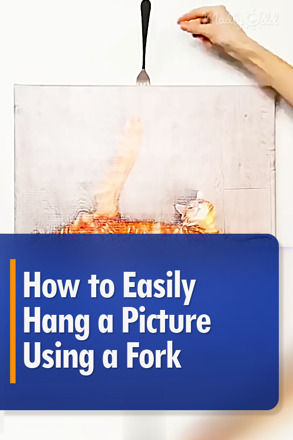 This Useful Life Hack Will Show You How To Hang A Picture Using a Fork