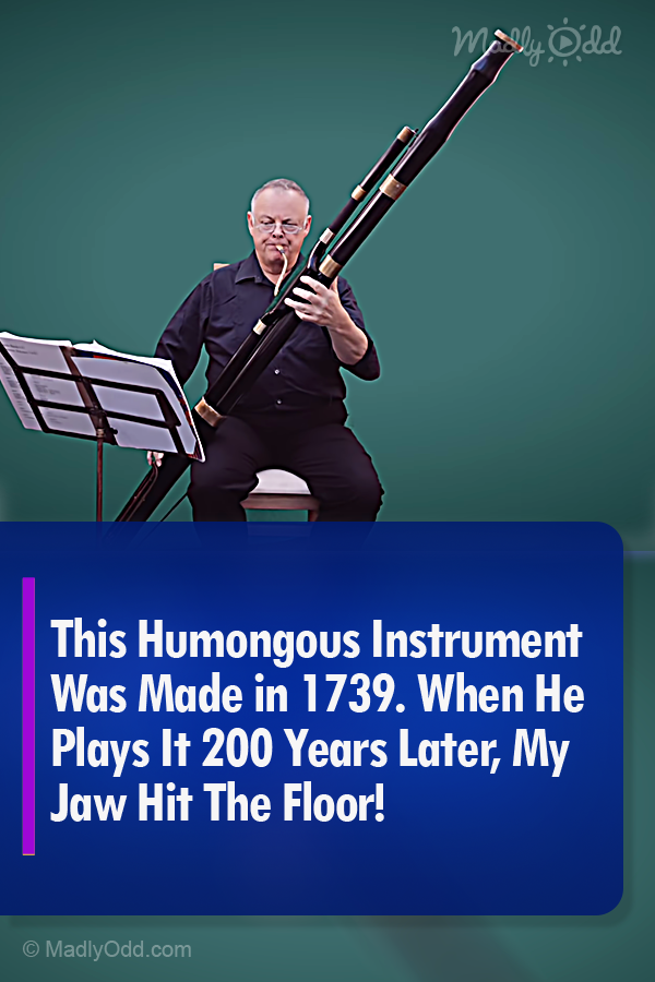 This Humongous Instrument Was Made in 1739. When He Plays It 200 Years Later, My Jaw Hit The Floor!