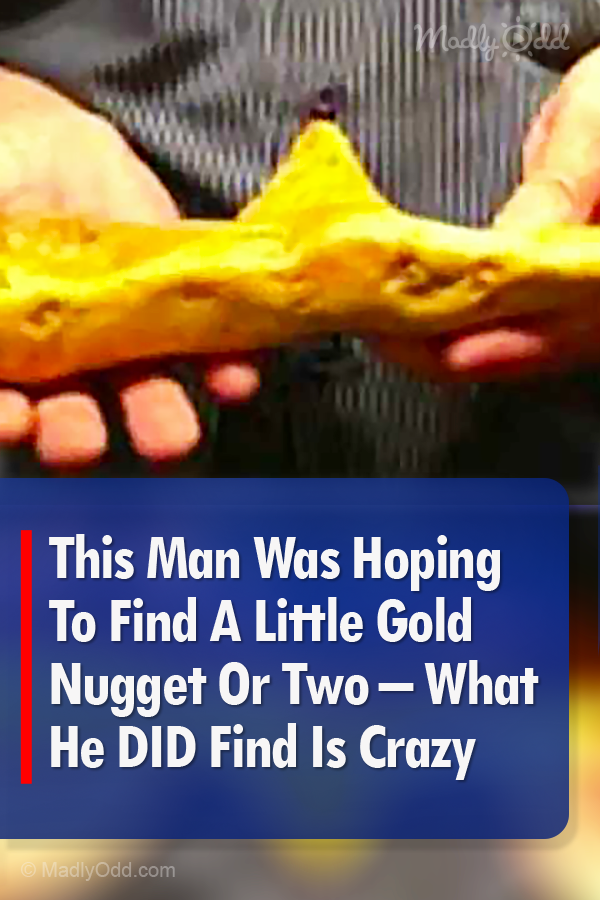 This Man Was Hoping To Find A Little Gold Nugget Or Two – What He DID Find Is Crazy