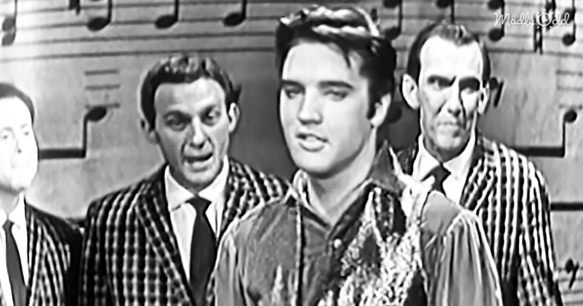 50829-OG1-In-1957-Elvis-Performed-Dont-Be-Cruel-On-The-Ed-Sullivan-Show-And-They-Only-Showed-Him-From-The-Waist-Up