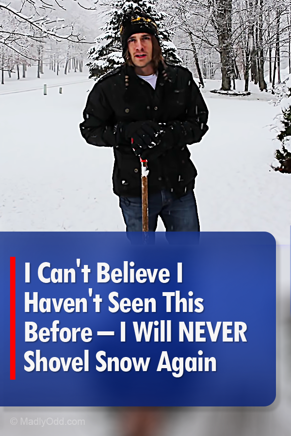 I Can\'t Believe I Haven\'t Seen This Before – I Will NEVER Shovel Snow Again