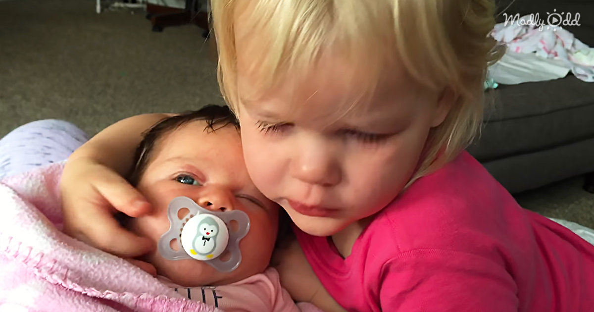 Grumpy Girl Cheered Up By Baby Sister