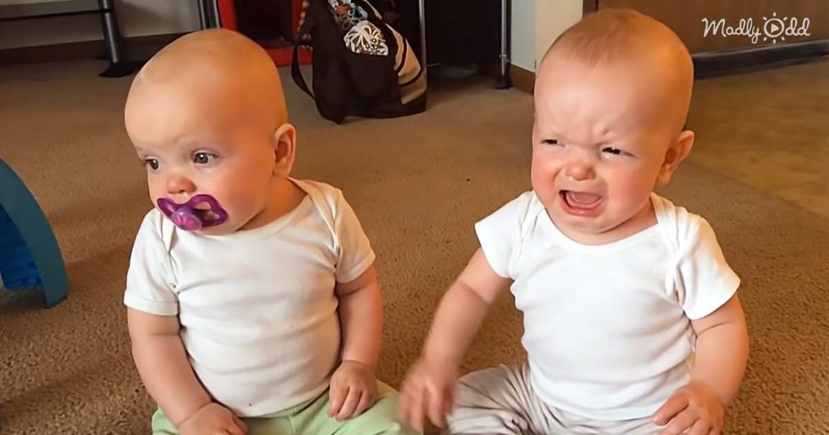 Two Baby Sisters Fight Over Who Gets To Use The Dummy