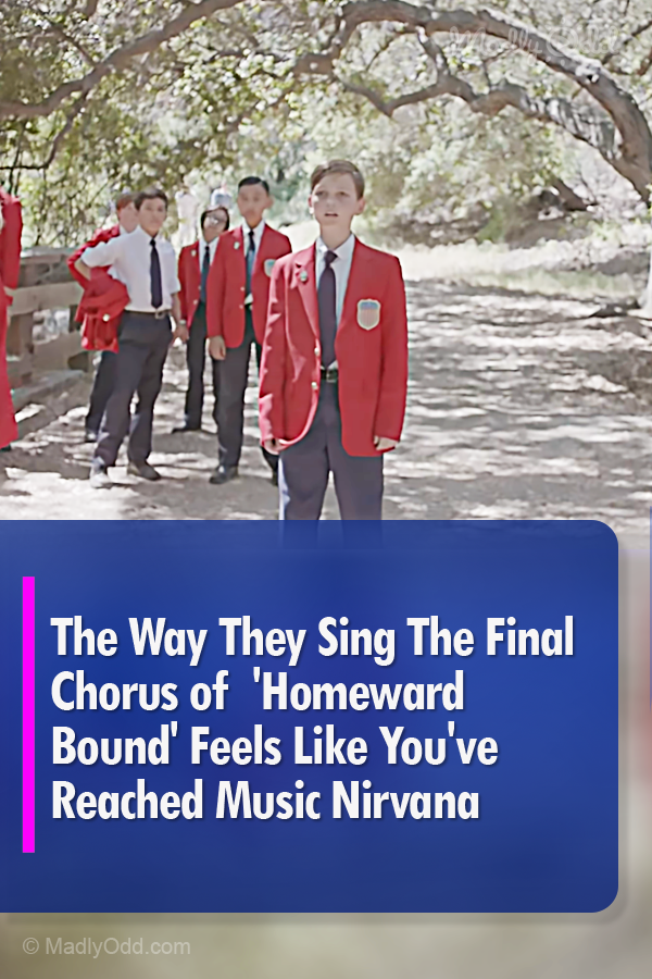 The Way They Sing The Final Chorus of  \'Homeward Bound\' Feels Like You\'ve Reached Music Nirvana