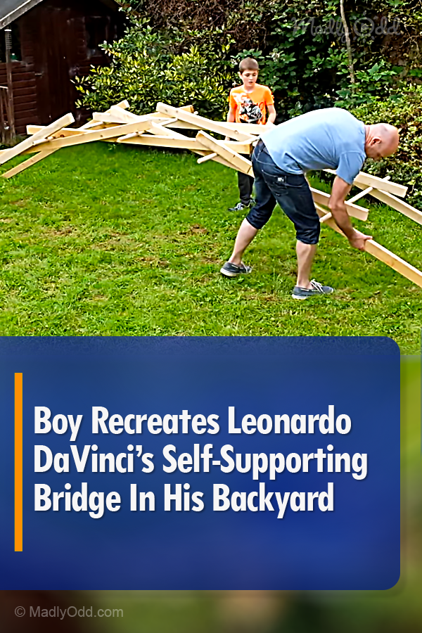 Boy Recreates Leonardo DaVinci’s Self-Supporting Bridge In His Backyard