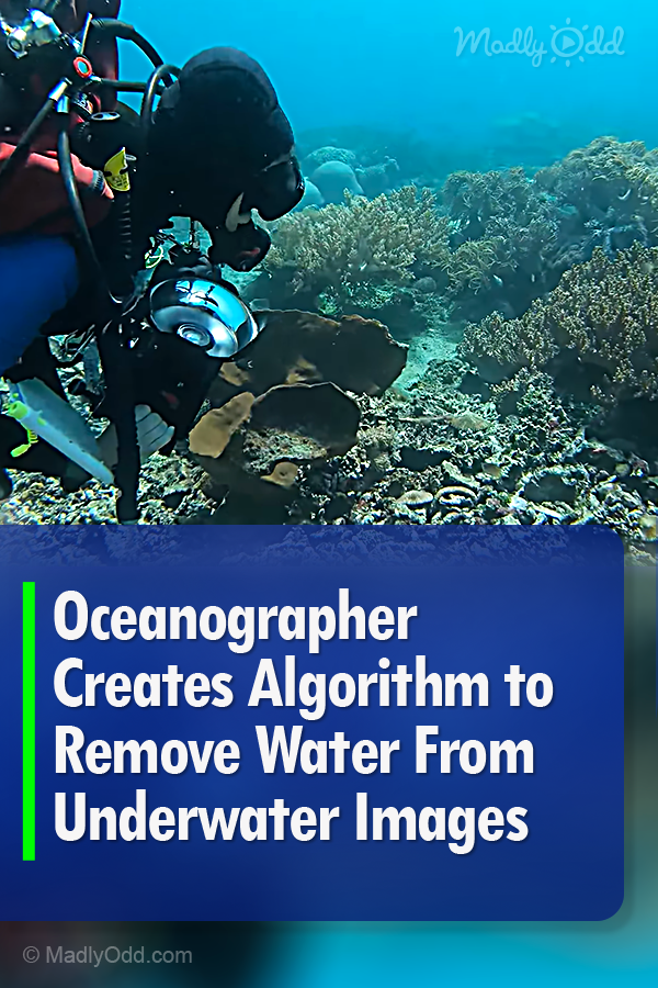 This Algorithm Removes Water Distortion From Underwater Images And Video