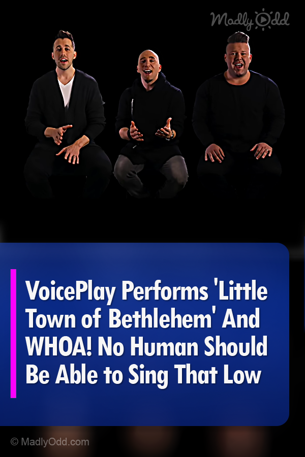 VoicePlay Performs \'Little Town of Bethlehem\' And WHOA... No Human Should Be Able to Sing That Low