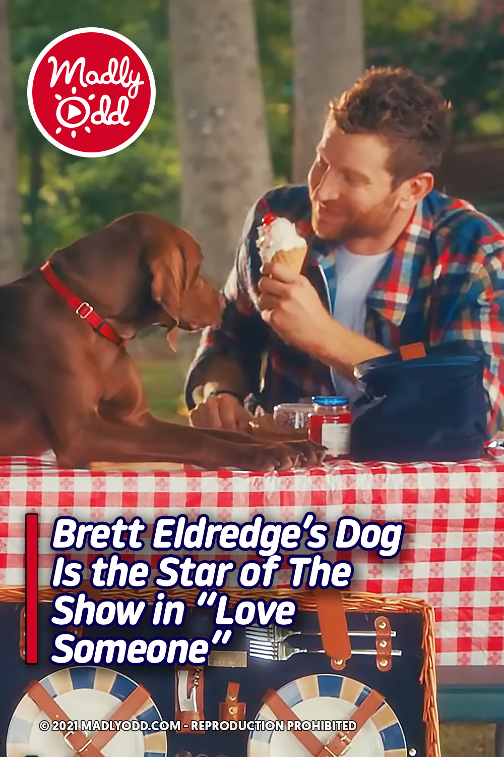Brett Eldredge\'s Dog Is the Star of The Show in \