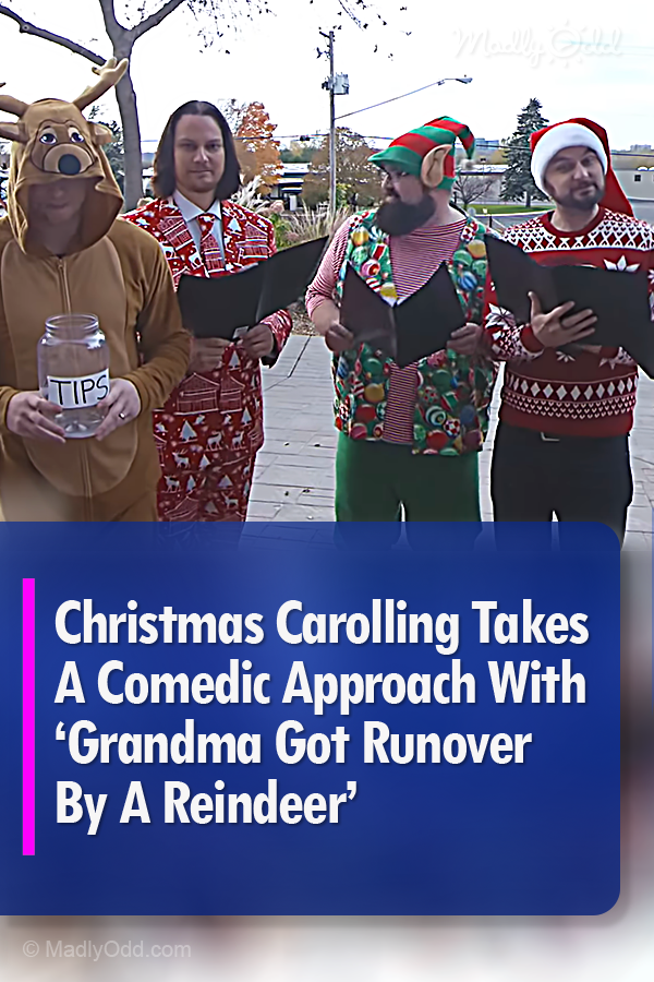 Christmas Carolling Takes A Comedic Approach With ‘Grandma Got Runover By A Reindeer’