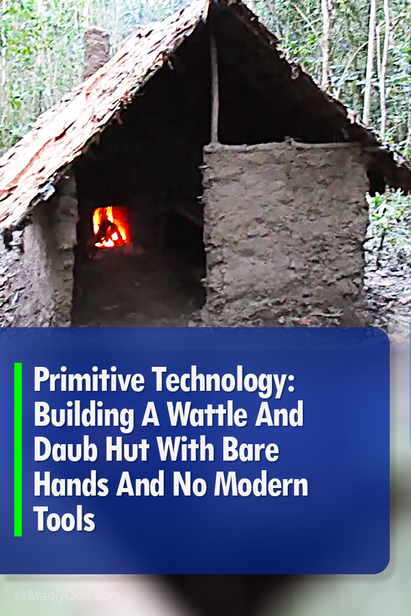 Primitive Technology: Building A Wattle And Daub Hut With Bare Hands And No Modern Tools
