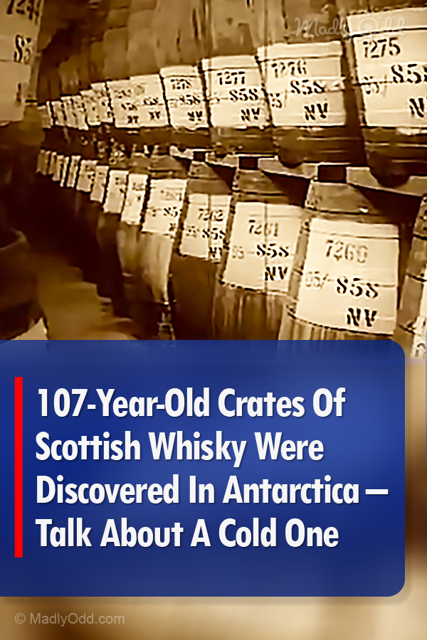 107-Year-Old Crates Of Scottish Whiskey Were Discovered In Antarctica – Talk About A Cold One