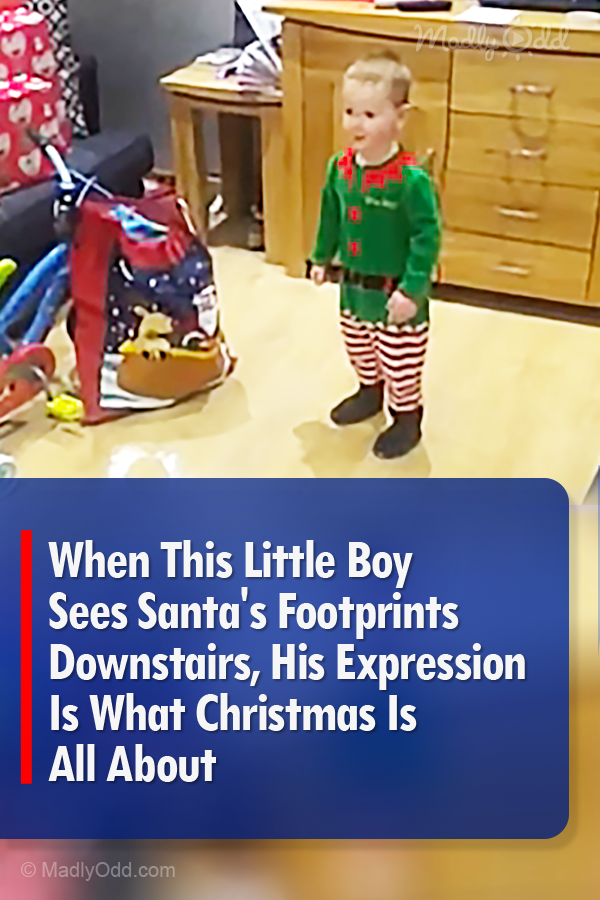 When This Little Boy Sees Santa\'s Footprints Downstairs, His Expression Is What Christmas Is All About