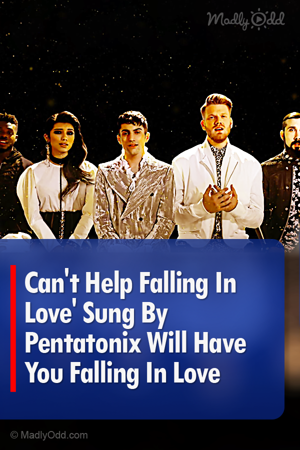 \'Can\'t Help Falling In Love\' Sung By Pentatonix Will Have You Falling In Love