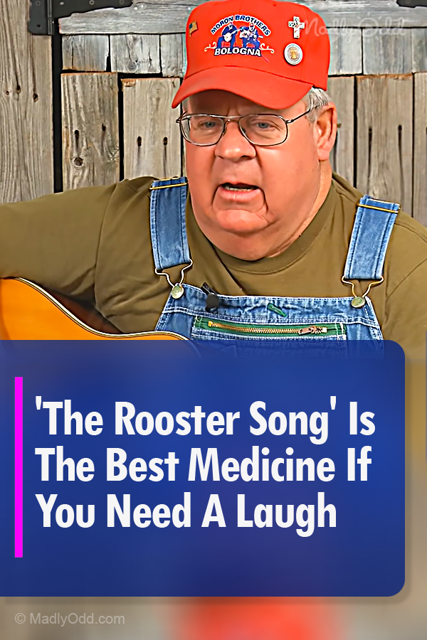 \'The Rooster Song\' Is The Best Medicine If You Need A Laugh