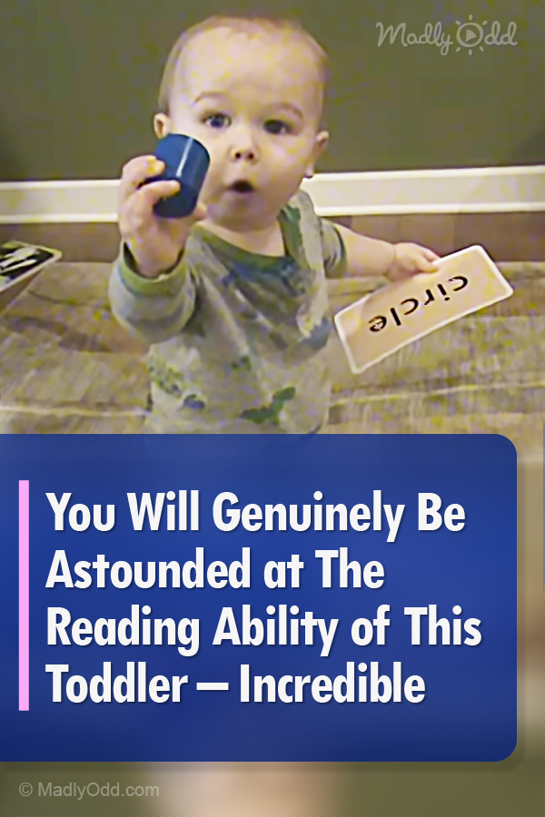 You Will Genuinely Be Astounded at The Reading Ability of This Toddler – Incredible