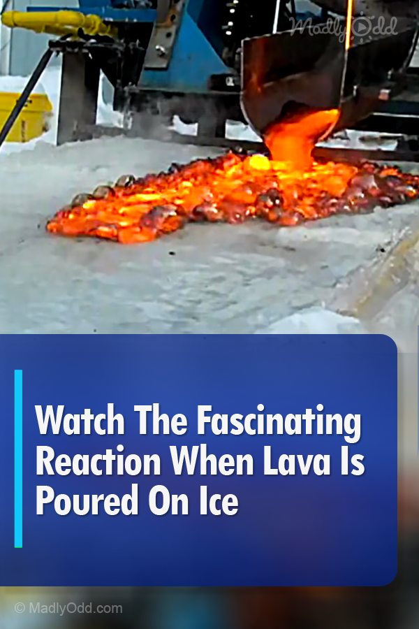 Watch The Fascinating Reaction When Lava Is Poured On Ice