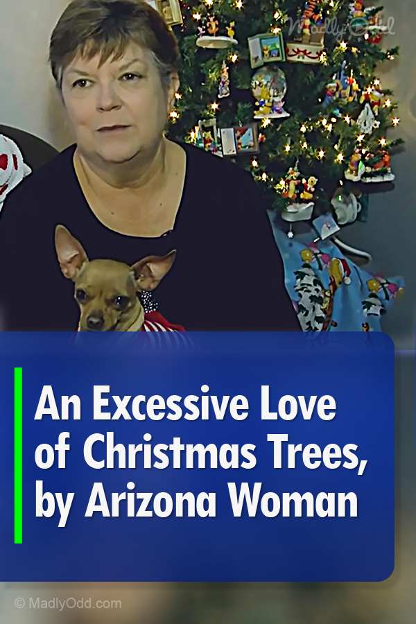 An Excessive Love of Christmas Trees, by Arizona Woman