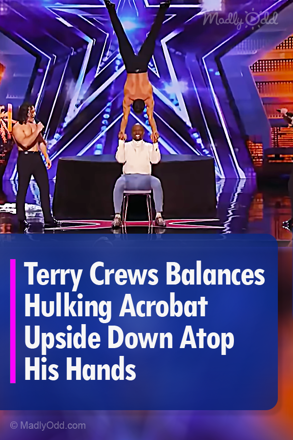 Terry Crews Balances Hulking Acrobat Upside Down Atop His Hands