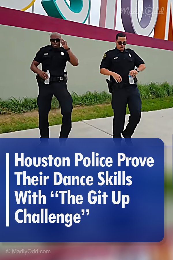 Houston Police Prove Their Dance Skills With “The Git Up Challenge”