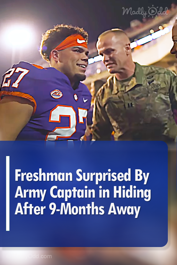 Freshman Surprised By Army Captain in Hiding After 9-Months Away