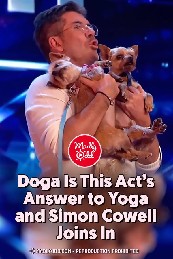 Doga Is This Act’s Answer to Yoga and Simon Cowell Joins In