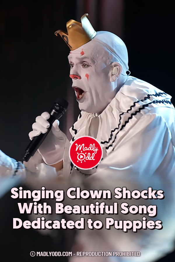Singing Clown Shocks With Beautiful Song Dedicated to Puppies