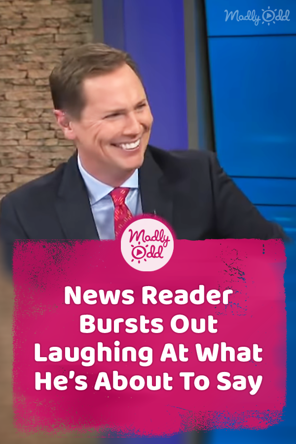 News Reader Bursts Out Laughing At What He’s About To Say