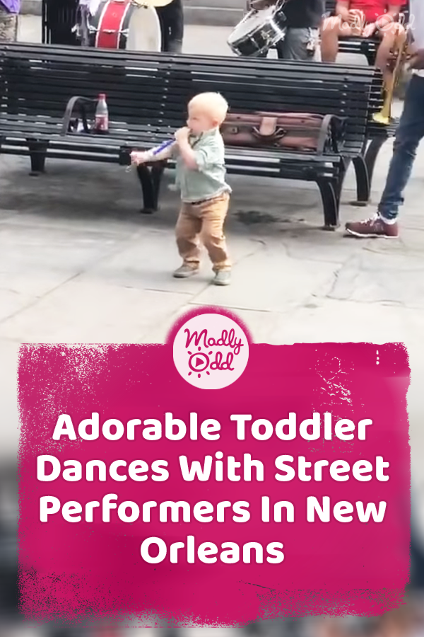 Adorable Toddler Dances With Street Performers In New Orleans