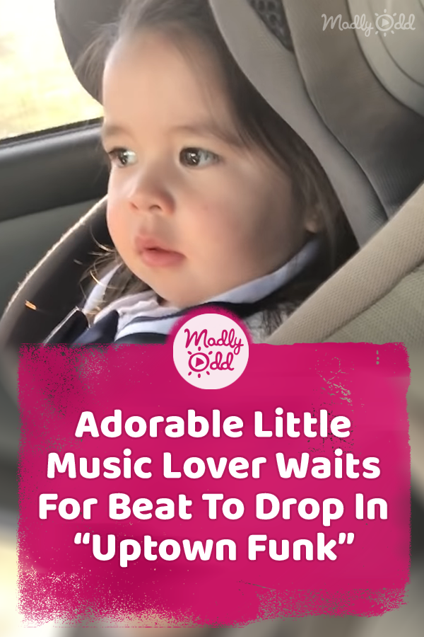 Adorable Little Music Lover Waits For Beat To Drop In “Uptown Funk”