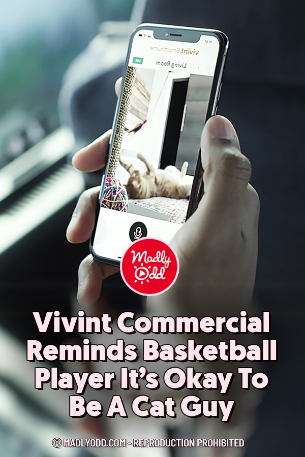 Vivint Commercial Reminds Basketball Player It’s Okay To Be A Cat Guy