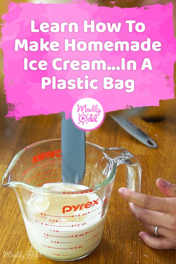 PIN-B 4453 Learn How To Make Homemade Ice Cream…In A Plastic Bag ...