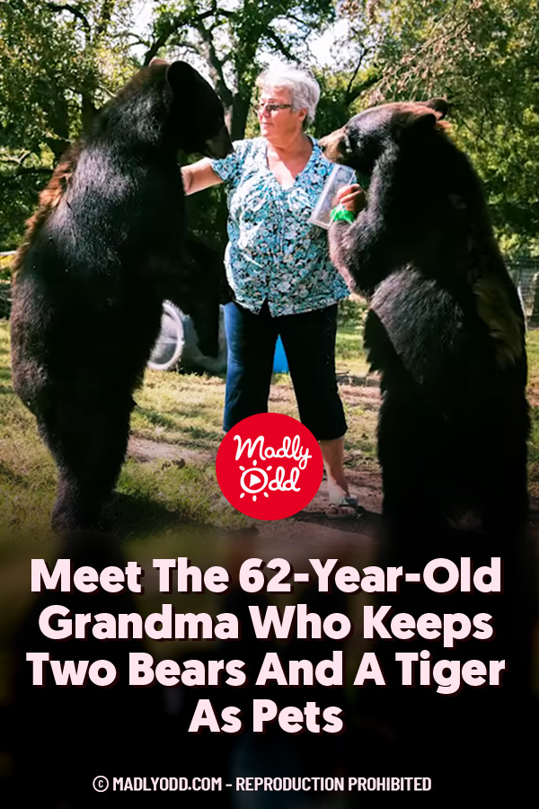 Meet The 62-Year-Old Grandma Who Keeps Two Bears And A Tiger As Pets