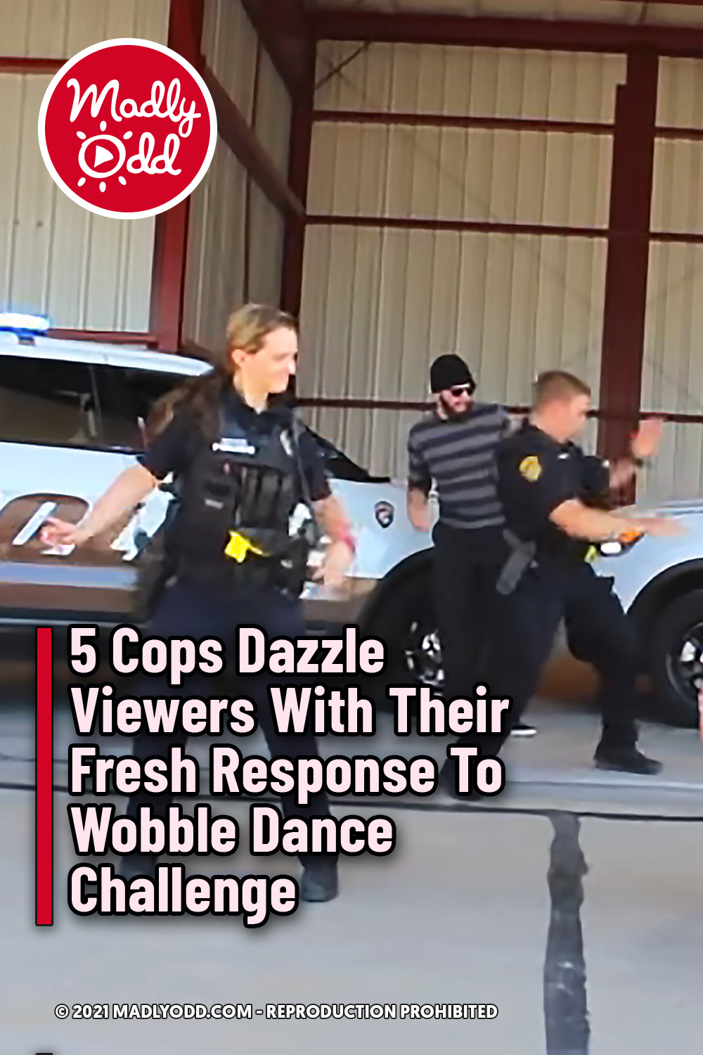 5 Cops Dazzle Viewers With Their Fresh Response To Wobble Dance Challenge