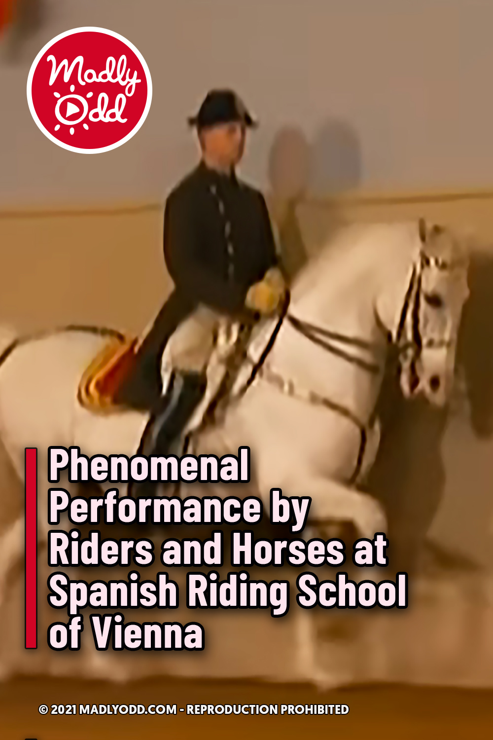 Phenomenal Performance by Riders and Horses at Spanish Riding School of Vienna