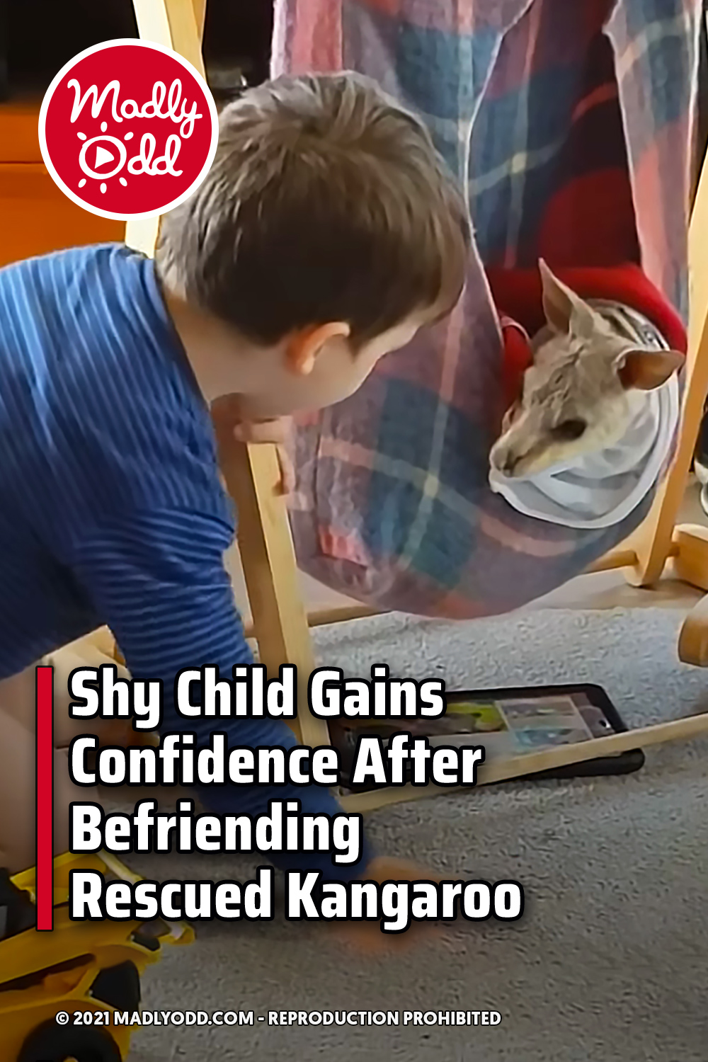 Shy Child Gains Confidence After Befriending Rescued Kangaroo