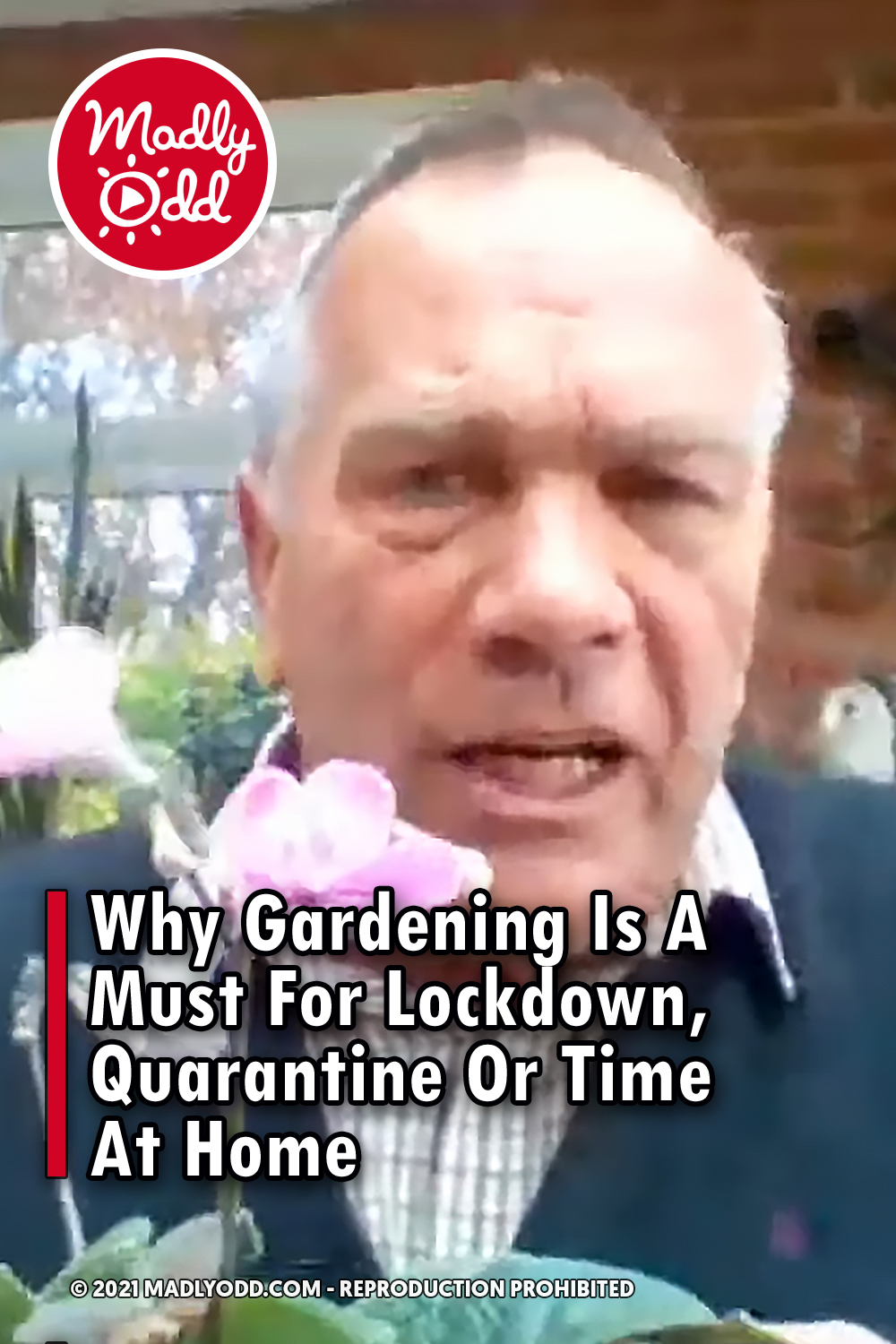 Why Gardening Is A Must For Lockdown, Quarantine Or Time At Home