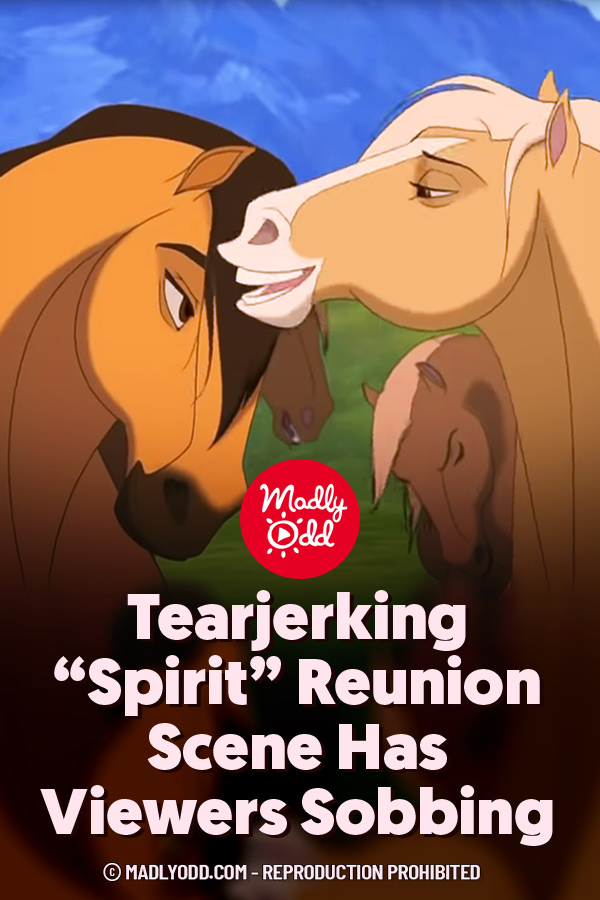 Tearjerking “Spirit” Reunion Scene Has Viewers Sobbing